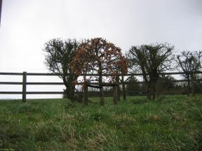 Greenwich Meridian Marker; England; Hertfordshire; Cold Christmas